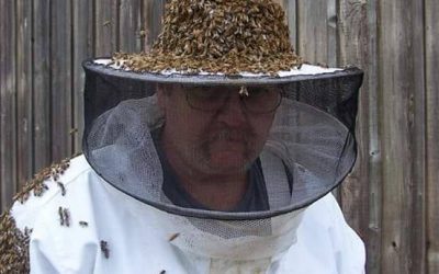 Bee Wrangler Honey