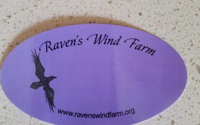 Raven’s Wind Farm